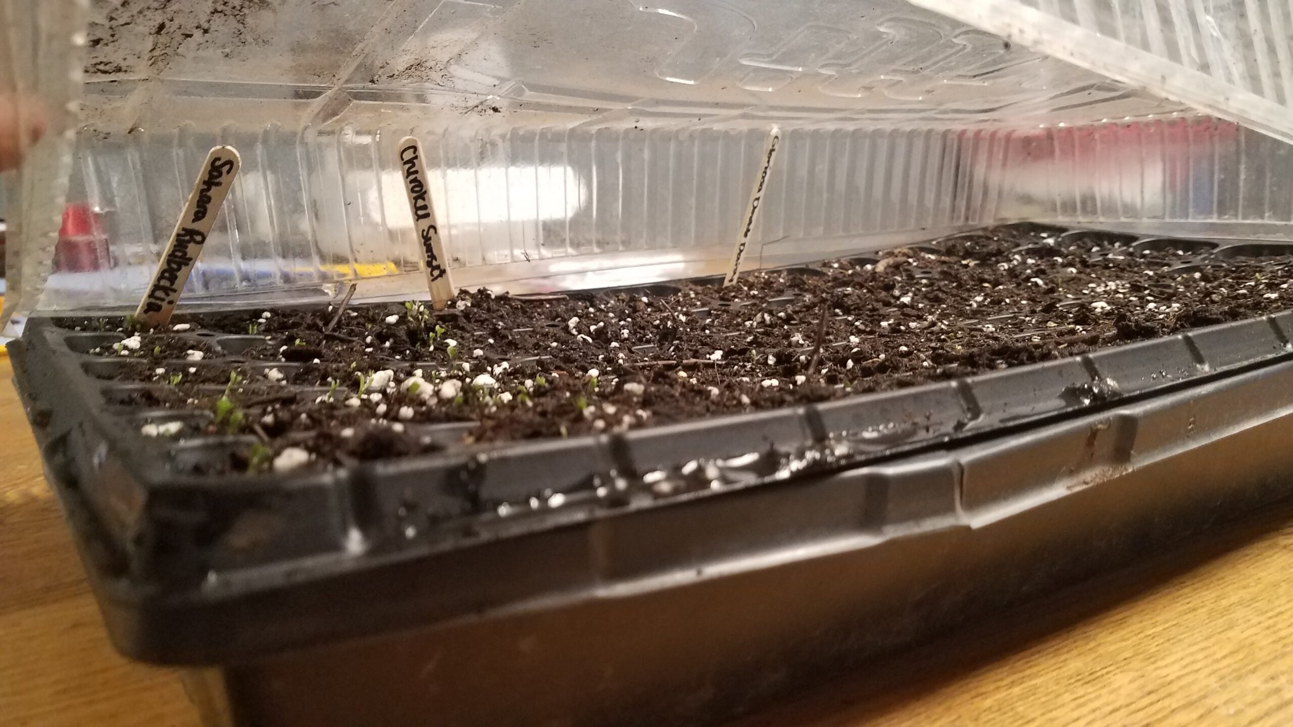 Seed Starting Supplies
