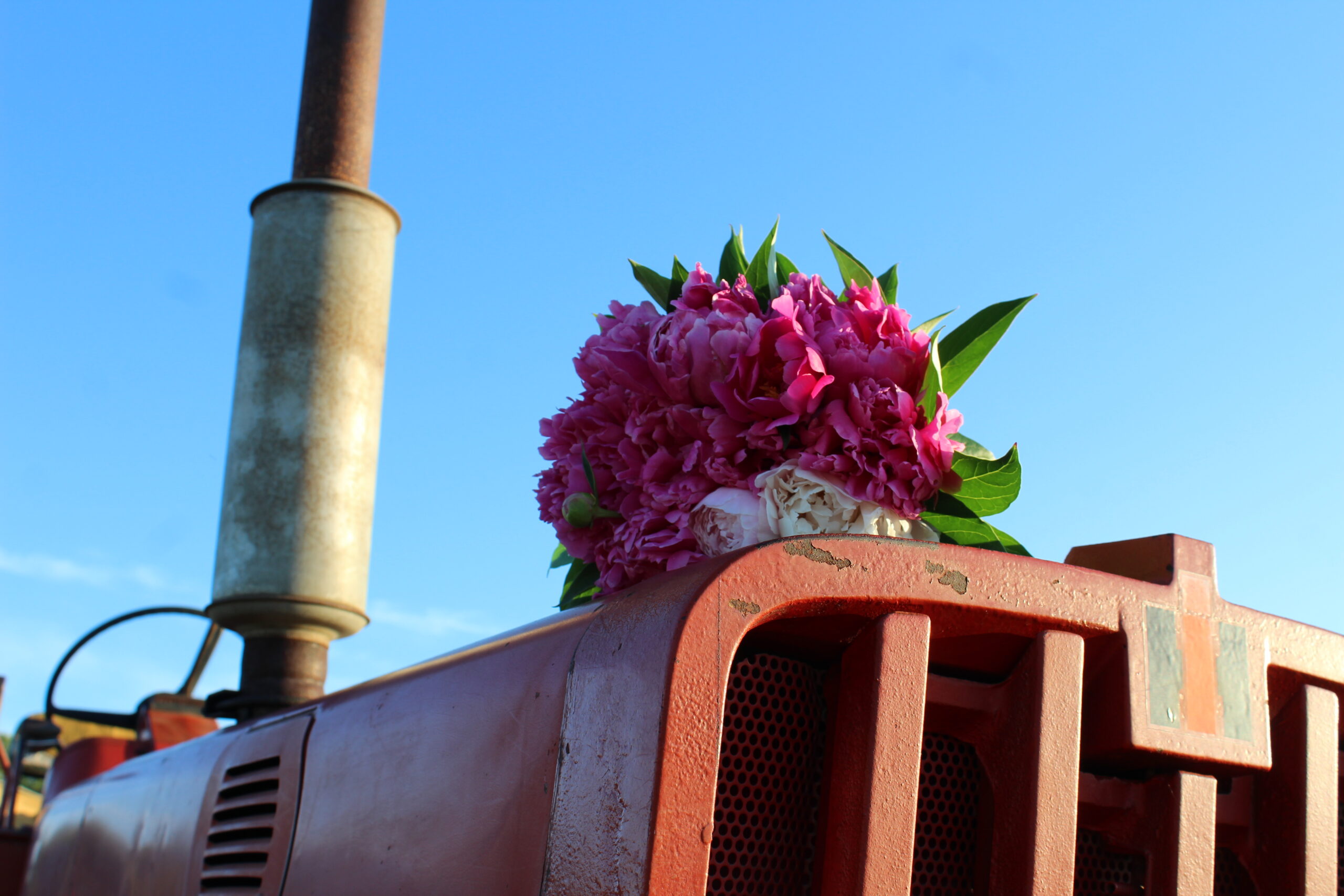 Special Occasion Farm Fresh Bouquet