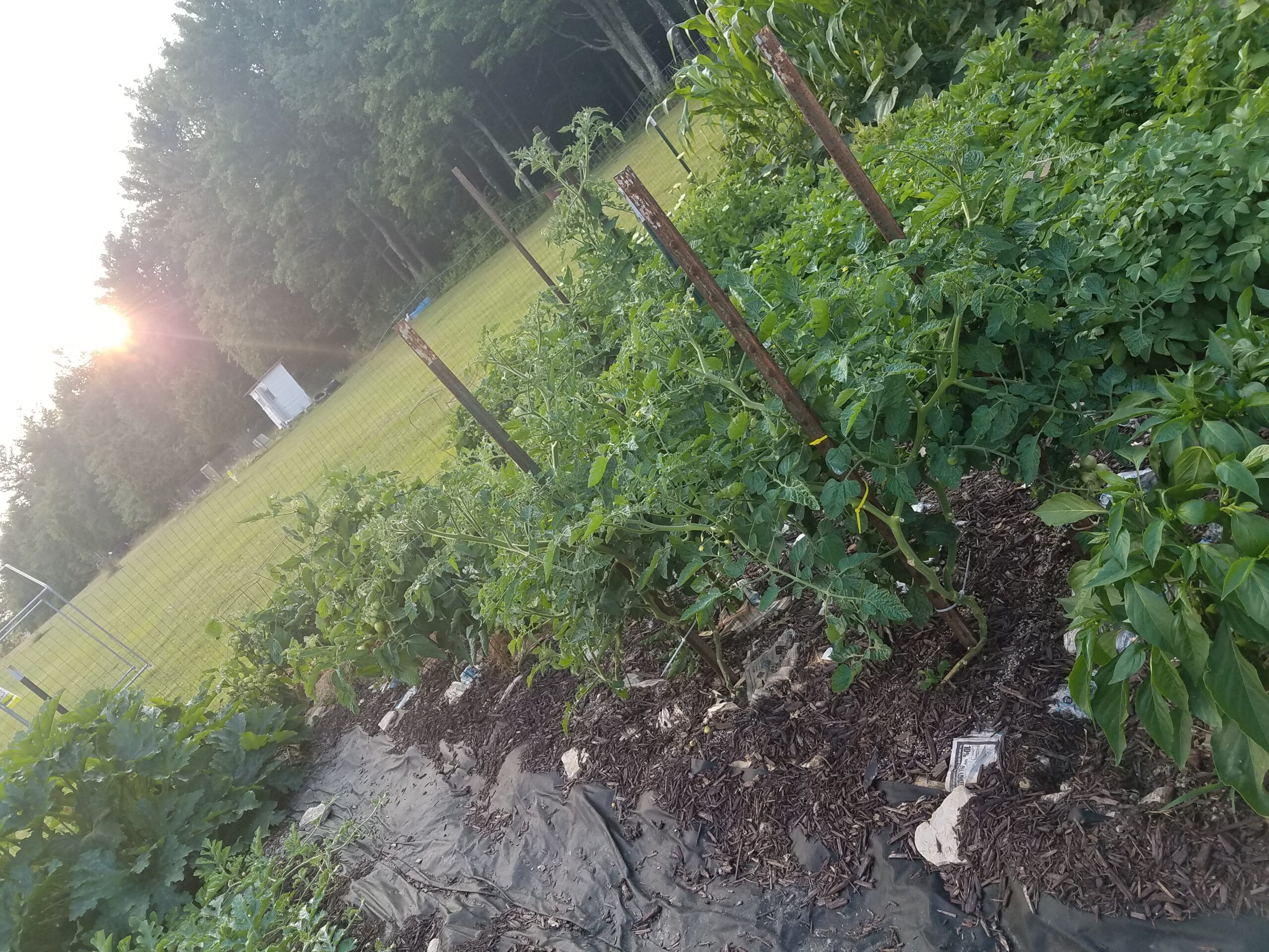 Gardening: A Way of Life