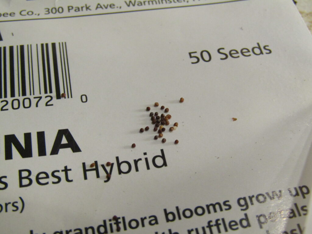 Growing Petunias from Seed A Farmette in Bloom