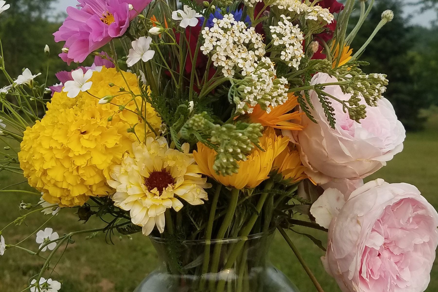 Beginnings of a Flower Season